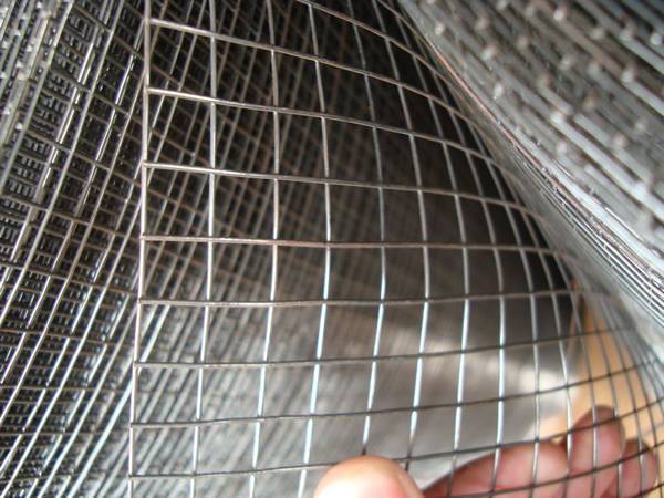 Welded wire mesh rolls - a piece mesh in a man’s hand